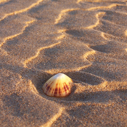 Sands