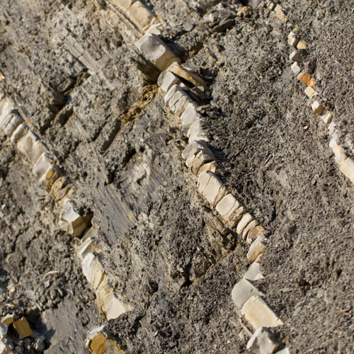 Turbidites