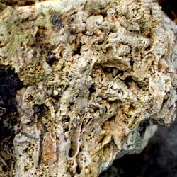Tufa