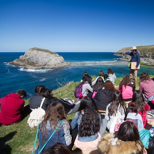 We design and offer teachers a repertoire of materials and didactic activities that fit different curricula and learning abilities.
Our educational policies are oriented towards strengthening emotional bonds through game-based and service learning. 