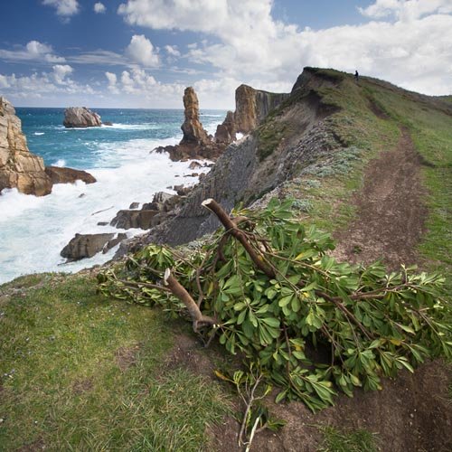 We were born to protect Costa Quebrada's scenery and environmental quality. That is why, alongside with agreements with institutions and landowners, we carry out conservation initiatives, and collaborate with diverse partner organizations in nature preservation actions.