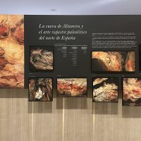 Exposiciones temporales