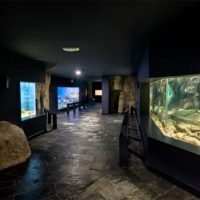 Sala de acuarios