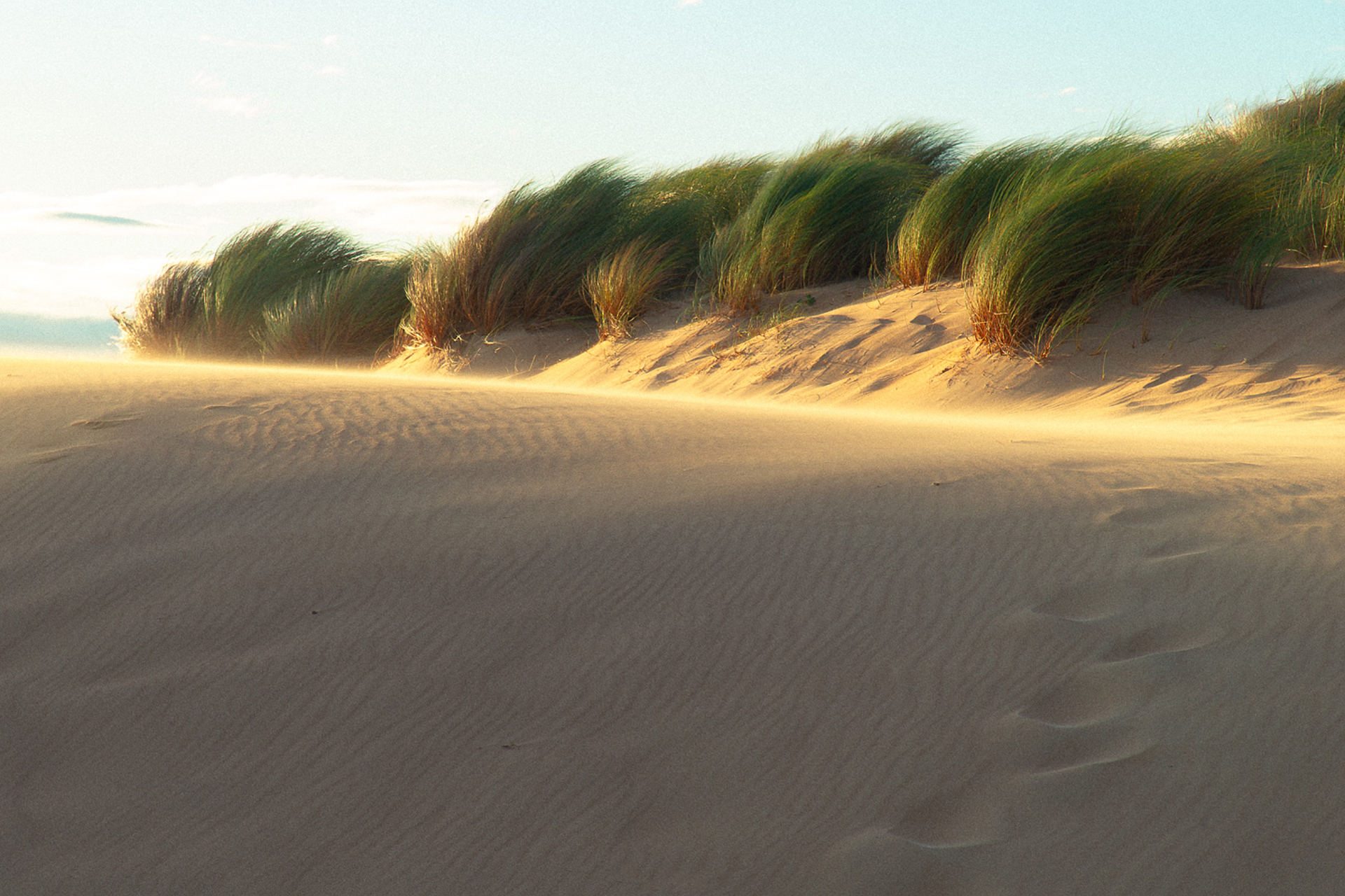 dunas dunas
