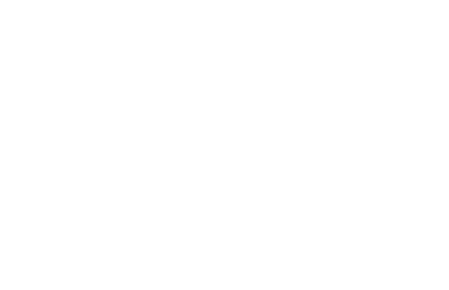 año_jubilar