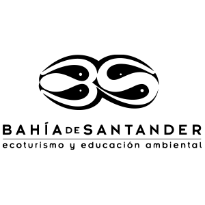 LOGO BS negro