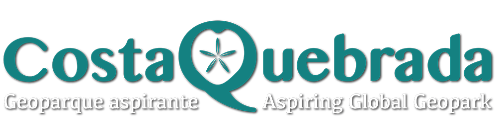 logo-nuevo-color-1000