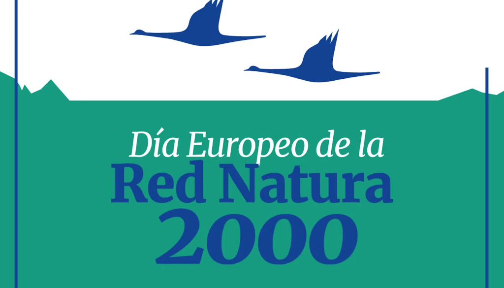 Captura-de-Pantalla-2024-05-21-a-las-21.24.34