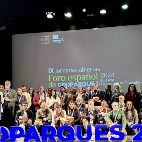 Captura de pantalla 2024-11-19 a las 13.36.23